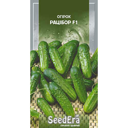 Огурец Рацибор F1 Seedera рисунок 1 артикул 90124