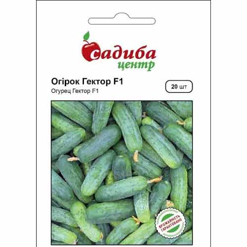 Огурец Гектор F1 Садыба центр рисунок 1 артикул 89434