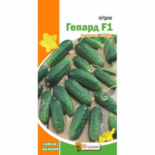 Огірок Гепард F1 Яскрава зображення 1 артикул 90488