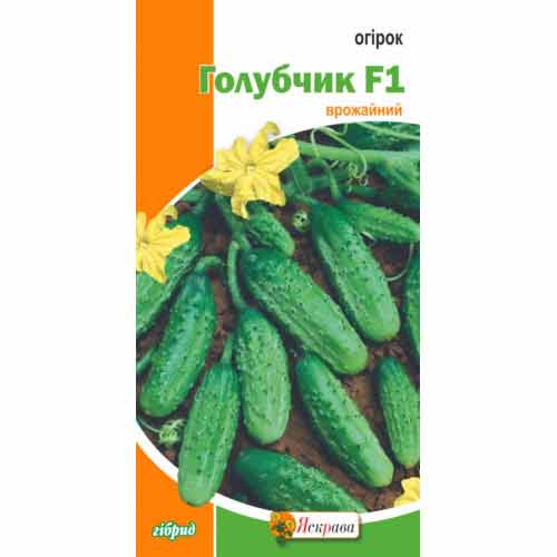 Огурец Голубчик F1 Яскрава рисунок 1 артикул 72380