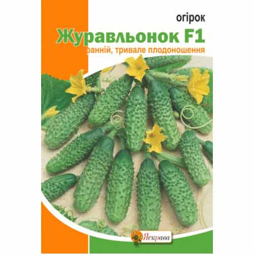 Огірок Журавльонок F1 Яскрава зображення 1 артикул 72381