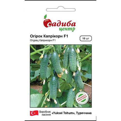Огірок Капрікорн F1 Садиба центр зображення 1 артикул 89445
