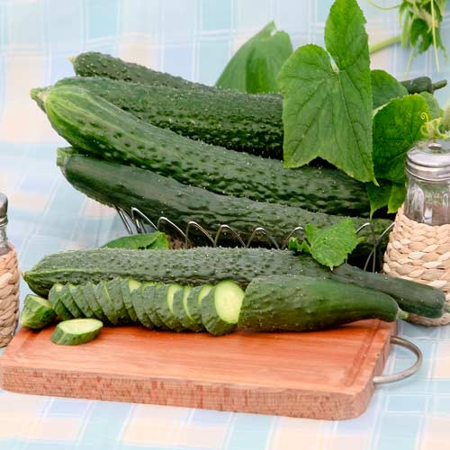 Огiрок Китайське диво Seedera зображення 1 артикул 65583