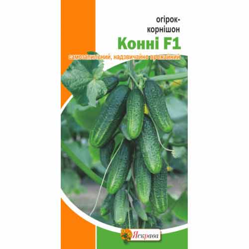 Огурец миникорнишон Конни F1 Яскрава рисунок 1 артикул 72534
