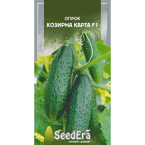 Огурец Козырная карта F1 Seedera рисунок 1 артикул 90114