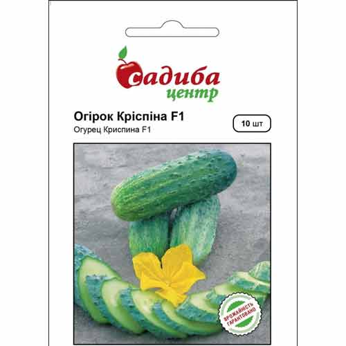 Огурец Криспина F1 Садыба центр рисунок 1 артикул 89451