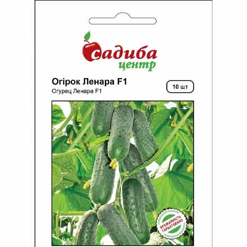 Огурец Ленара F1 Садыба центр рисунок 1 артикул 89453