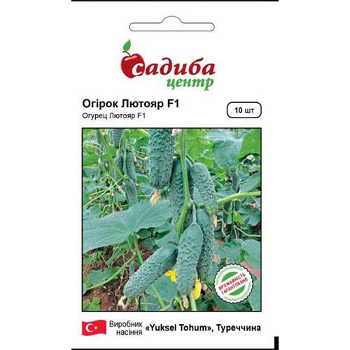 Огурец Лютояр F1 Садыба центр рисунок 1 артикул 89455