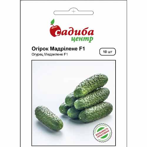 Огурец Мадрилене F1 Садыба центр рисунок 1 артикул 89457