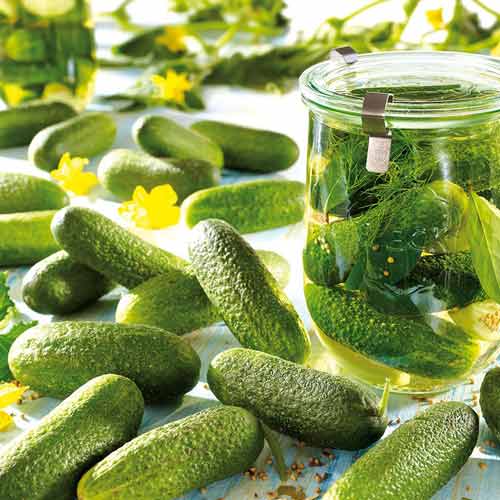 Огірок Малосольний, насіння зображення 1 артикул 65347