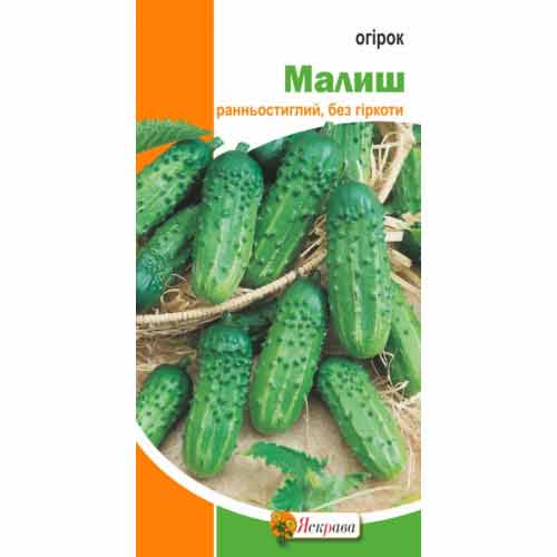 Огурец Малыш Яскрава рисунок 1 артикул 72405