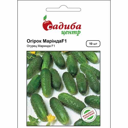 Огурец Маринда F1 рисунок 1 артикул 72819