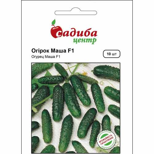 Огурец Маша F1, семена рисунок 1 артикул 70163