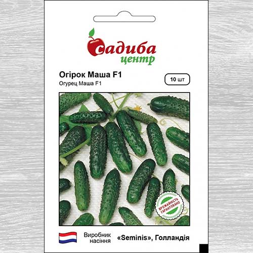 Огурец Маша F1 рисунок 1 артикул 72392