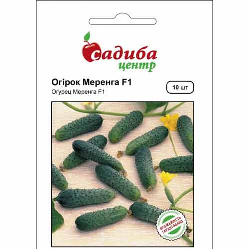 Огурец Меренга F1 Садыба центр рисунок 1 артикул 89459