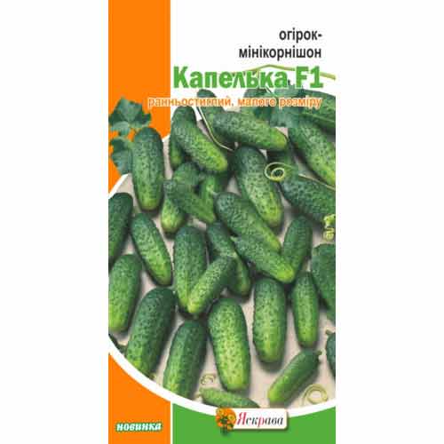 Огiрок-мінікорнішон Капелька F1 Яскрава зображення 1 артикул 90496