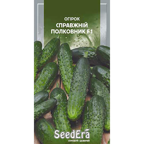 Огiрок Справжній полковник F1 Seedera зображення 1 артикул 90129