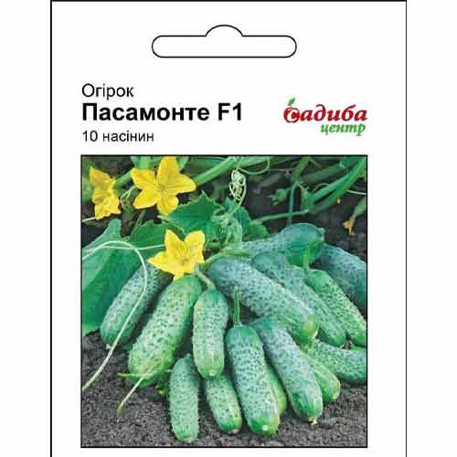 Огурец Пасамонте F1 Садыба центр рисунок 1 артикул 72820