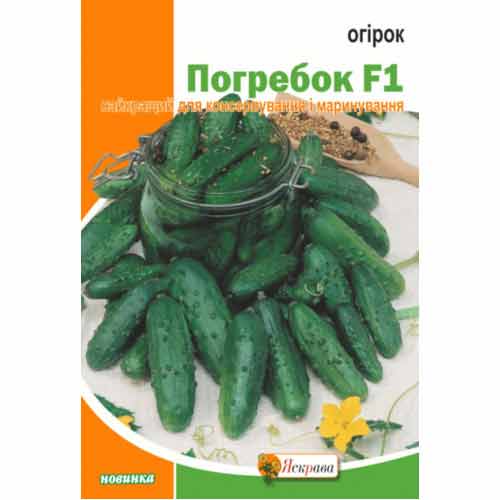 Огурец Погребок F1 Яскрава рисунок 1 артикул 72387