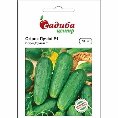 Огурец комнатный Пуччини F1 Садыба центр рисунок 1 артикул 72821