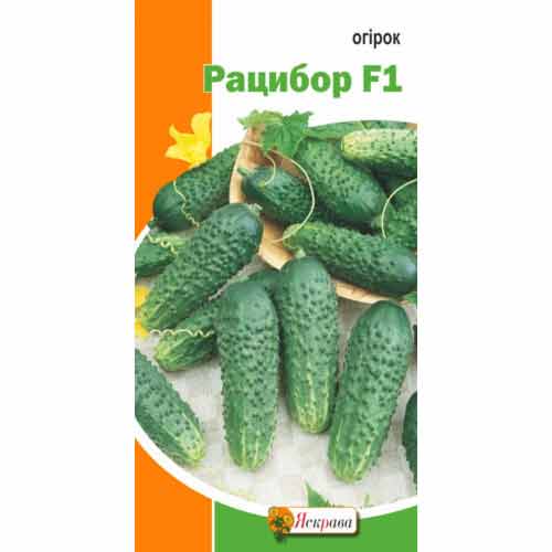 Огiрок Рацібор F1 Яскрава зображення 1 артикул 77258