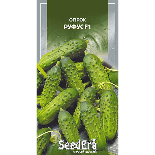 Огурец Руфус F1 Seedera рисунок 1 артикул 90125