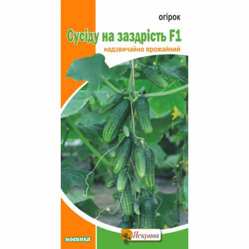 Огiрок Сусіду на заздрість F1 Яскрава зображення 1 артикул 72408