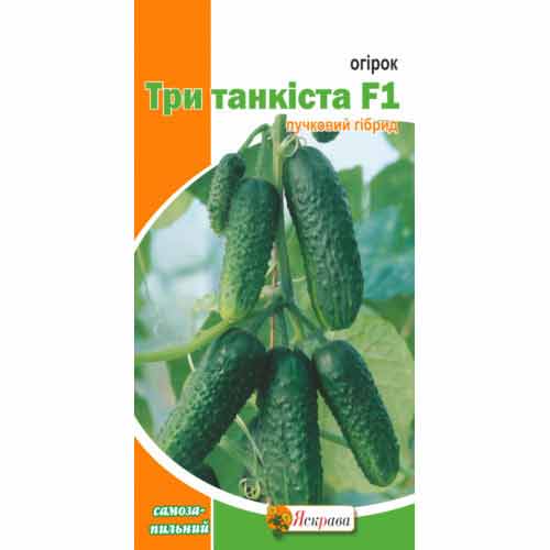 Огірок Три танкісти F1 Яскрава зображення 1 артикул 72532