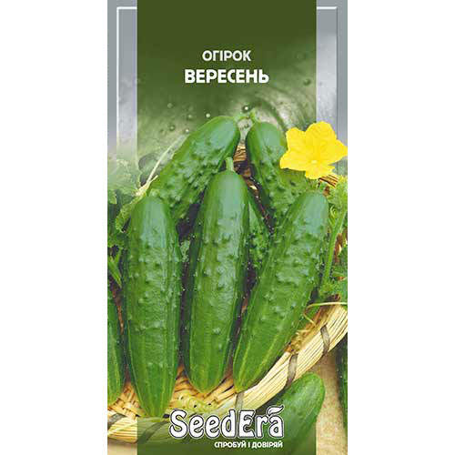Огурец Верасень Seedera рисунок 1 артикул 90104