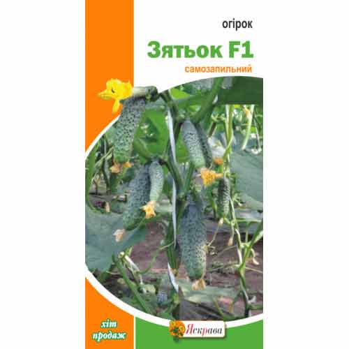 Огірок Зятьок F1 Яскрава артикул фото 1 Огірок Зятьок F1 Яскрава зображення 1 артикул 90491