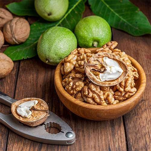 Горіх волоський (грецький) Ідеал артикул фото 1 Горіх волоський (грецький) Ідеал зображення 1 артикул 7433