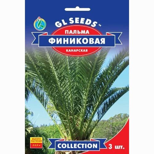 Пальма финиковая Канарская GL Seeds артикул фото 1 Пальма финиковая Канарская GL Seeds рисунок 1 артикул 99503