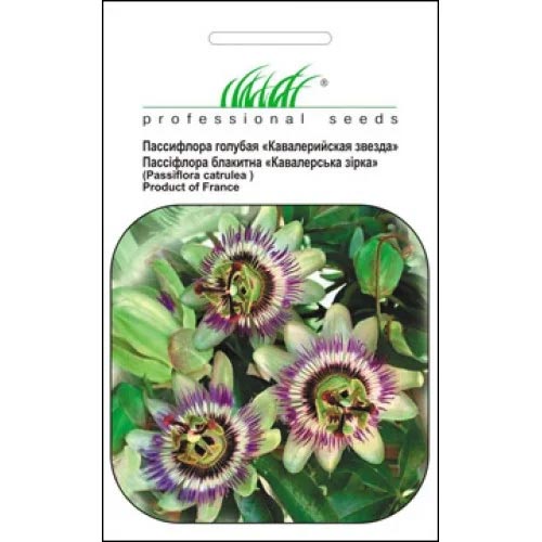 Пасифлора Кавалерійська зірка Професійне насіння зображення 1 артикул 66217