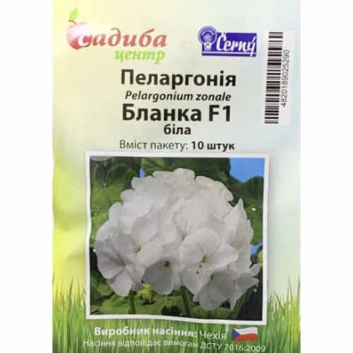 Пеларгонія Бланка біла F1 Садиба центр зображення 1 артикул 89497