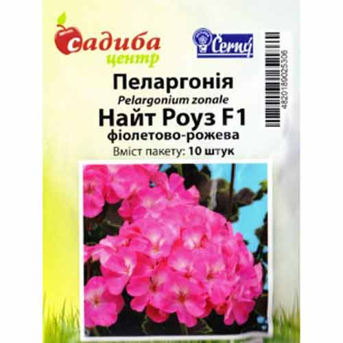 Пеларгонія Найт роуз фіолетово-рожева F1 Садиба центр артикул фото 1 Пеларгонія Найт роуз фіолетово-рожева F1 Садиба центр зображення 1 артикул 77072