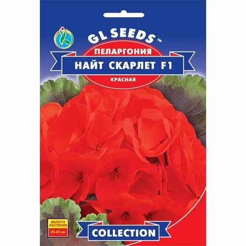 Пеларгонія Найт скарлет світло-червона F1 Садиба центр зображення 1 артикул 77073