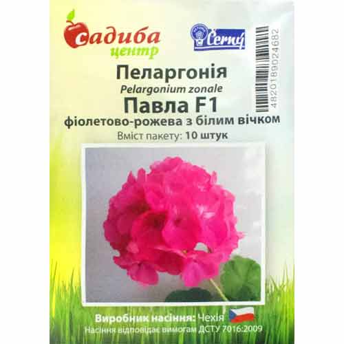 Пеларгония Павла фиолетово-розовая с белым глазком F1 Садиба центр рисунок 1 артикул 89500