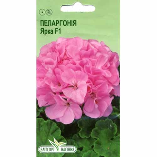 Пеларгония Яркая F1 Элитсорт рисунок 1 артикул 85960