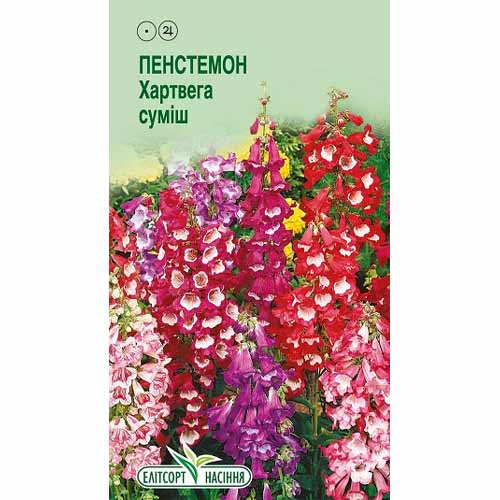 Пенстемон Хартвега, суміш забарвлень Елітсорт зображення 1 артикул 85961