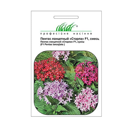 Пентас Старла F1, суміш забарвлень Професійне насіння зображення 1 артикул 95146