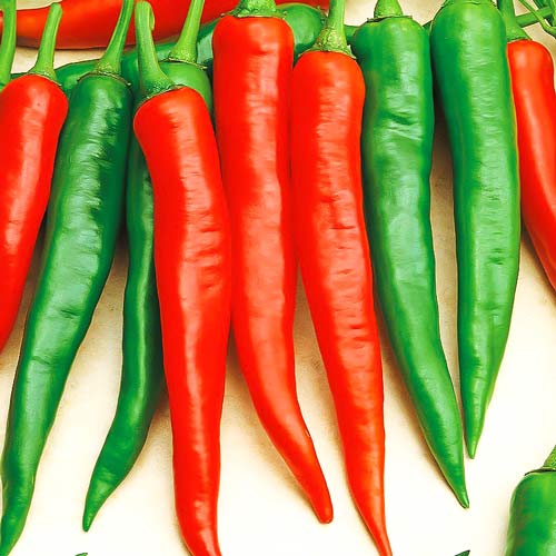 Перец острый Кайенский чили Seedera рисунок 1 артикул 72424
