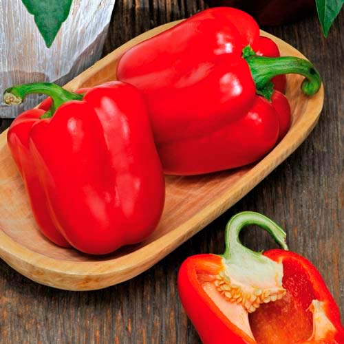 Перець солодкий Анастасія, насіння артикул фото 1 Перець солодкий Анастасія, насіння зображення 1 артикул 70033