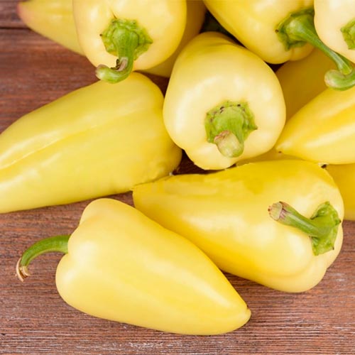 Перець солодкий Білозірка, насіння артикул фото 1 Перець солодкий Білозірка, насіння зображення 1 артикул 70034