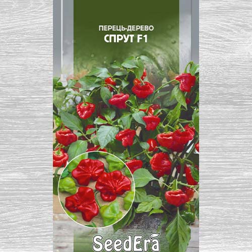 Перець-дерево Спрут F1 зображення 1 артикул 77268