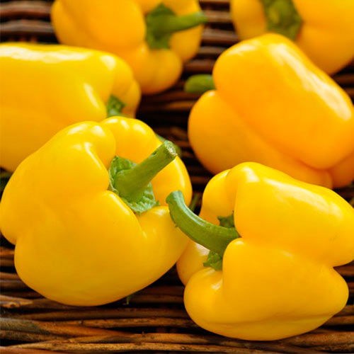 Перец сладкий Калифорнийское чудо желтый, семена артикул фото 1 Перец сладкий Калифорнийское чудо желтый, семена рисунок 1 артикул 70038