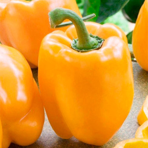 Перець солодкий Каліфорнійське чудо помаранчевий, насіння артикул фото 1 Перець солодкий Каліфорнійське чудо помаранчевий, насіння зображення 1 артикул 70039