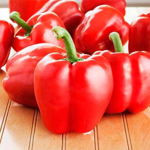 Перец сладкий Звезда Востока красная, семена артикул фото 1 Перец сладкий Звезда Востока красная, семена рисунок 1 артикул 70171