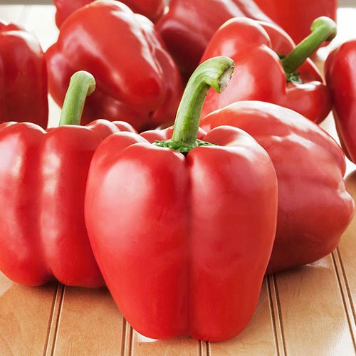 Перець солодкий Мушкет F1 Імперія насіння артикул фото 1 Перець солодкий Мушкет F1 Імперія насіння зображення 1 артикул 95409