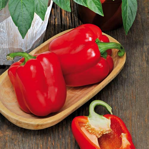 Перець солодкий Червоний бик зображення 2 артикул 65214