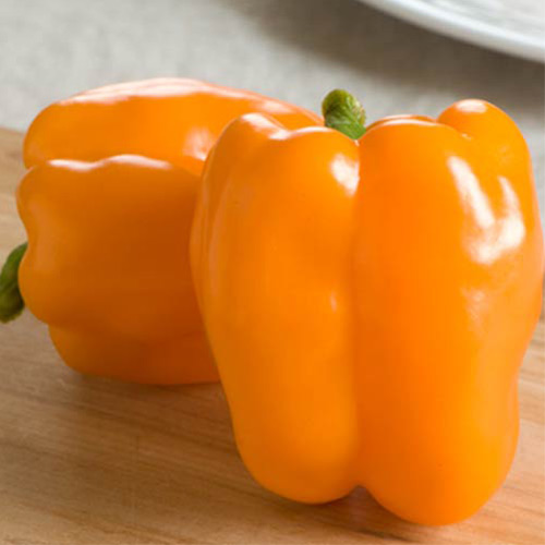 Перець солодкий Помаранчевий бик зображення 1 артикул 65215